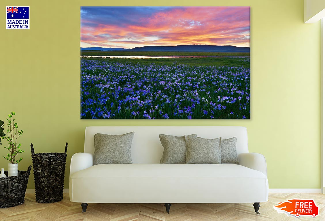 Flower Field Scenery Photograph Print 100% Australian Made