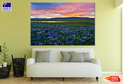 Flower Field Scenery Photograph Print 100% Australian Made