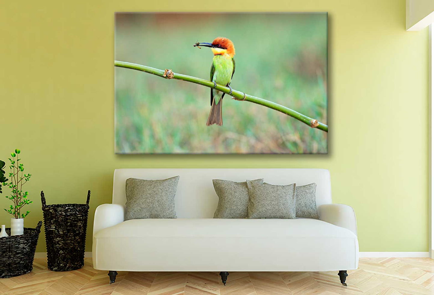 Bella Home Chestnut Headed Bee Eater Bird Print Canvas Ready to hang