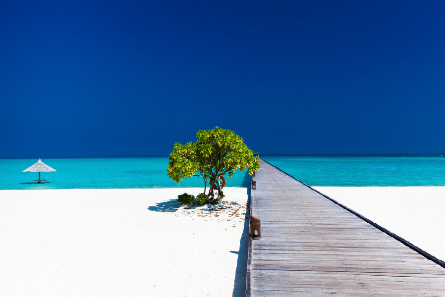 Wooden Pier on Sandy Beach View Photograph Home Decor Premium Quality Poster Print Choose Your Sizes