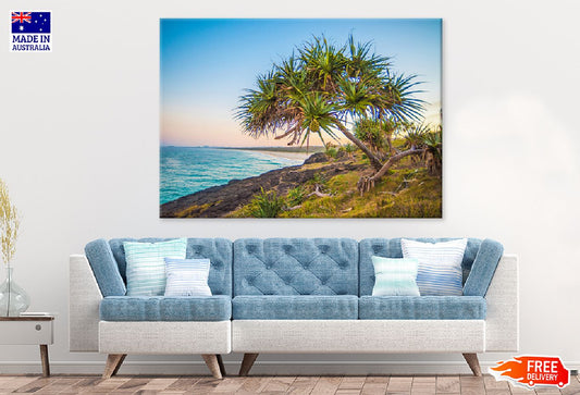 Mangrove Tree Near Sea View Photograph Print 100% Australian Made