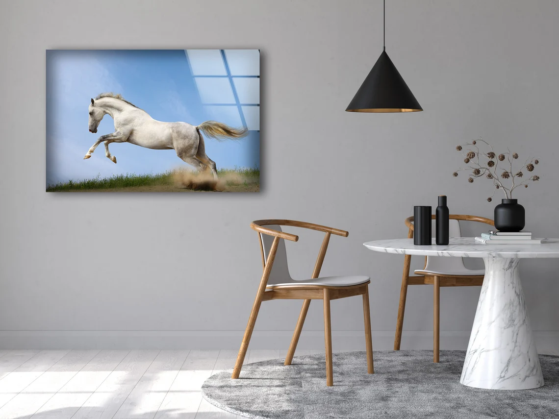 Running White Horse Photograph Acrylic Glass Print Tempered Glass Wall Art 100% Made in Australia Ready to Hang