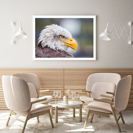 Hawk Face Portrait Photograph Home Decor Premium Quality Poster Print Choose Your Sizes