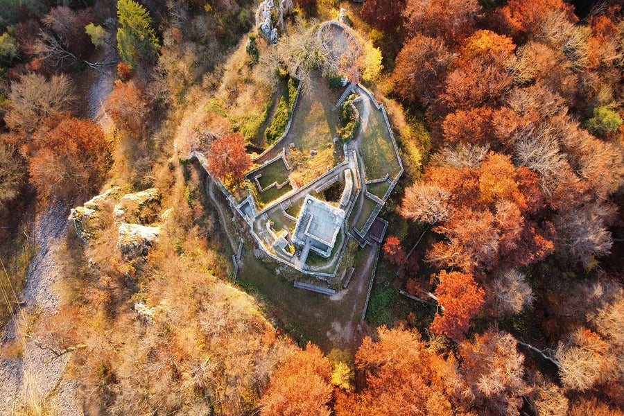 Autumn Forest & House Aerial View Photograph Print 100% Australian Made