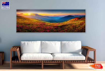 Panoramic Canvas Pink Flowers Hill Mounatins Scenery Photograph High Quality 100% Australian Made Wall Canvas Print Ready to Hang