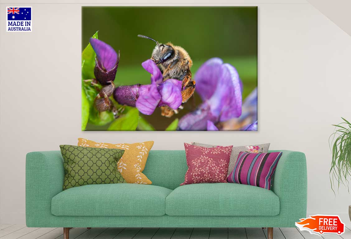 Honey Bee on Flower Photograph Print 100% Australian Made