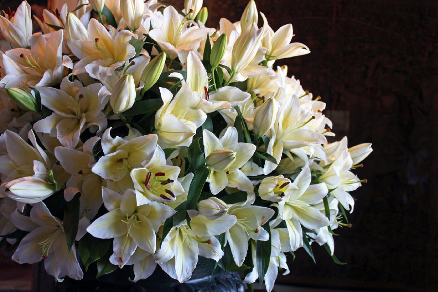 White Lily Flowers Closeup View Photograph Print 100% Australian Made