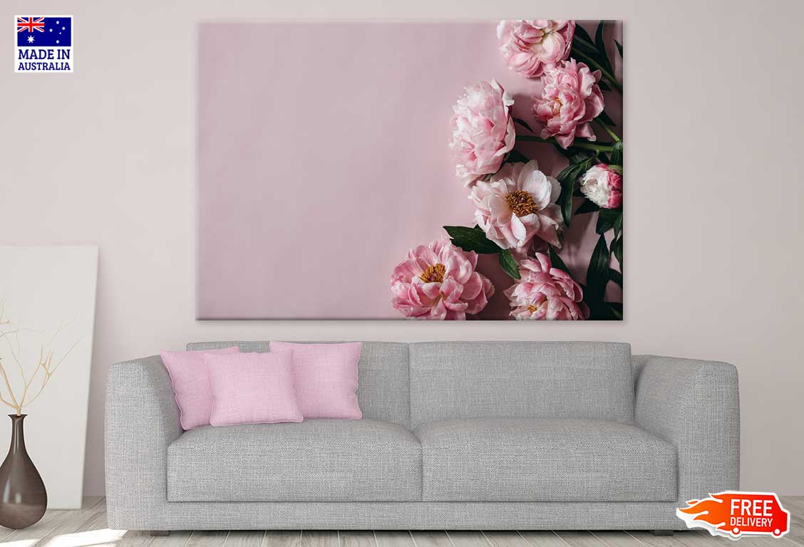 Pink Peony Flowers on Wall View Photograph Print 100% Australian Made