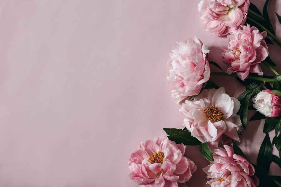 Pink Peony Flowers on Wall View Photograph Print 100% Australian Made