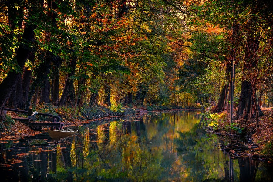 Autumn Spreewald Photograph Germany Print 100% Australian Made