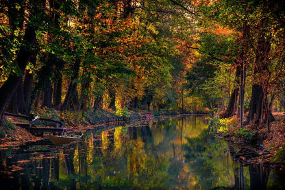 Autumn Spreewald Photograph Germany Print 100% Australian Made