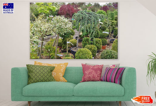 Flower Plant Garden Photograph Print 100% Australian Made