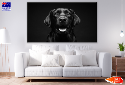 Dog Face Potrait B&W Photograph Print 100% Australian Made