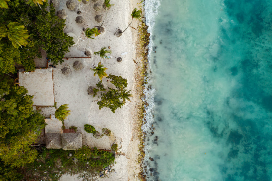 Palm Trees & Sea Coast Aerial View Photograph Print 100% Australian Made