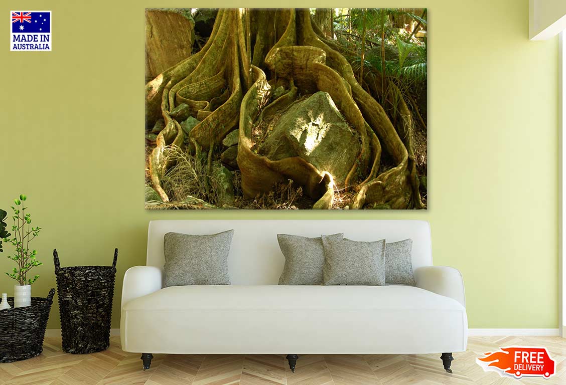 Tree Root Closeup Photograph Print 100% Australian Made