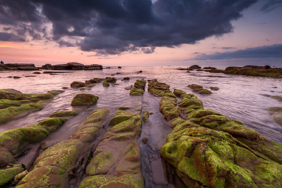 Sunset Seascape with Green Moss Photograph Home Decor Premium Quality Poster Print Choose Your Sizes