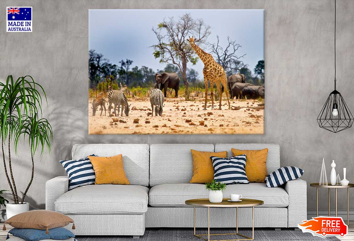 Animals Hwange National Park View Photograph Print 100% Australian Made