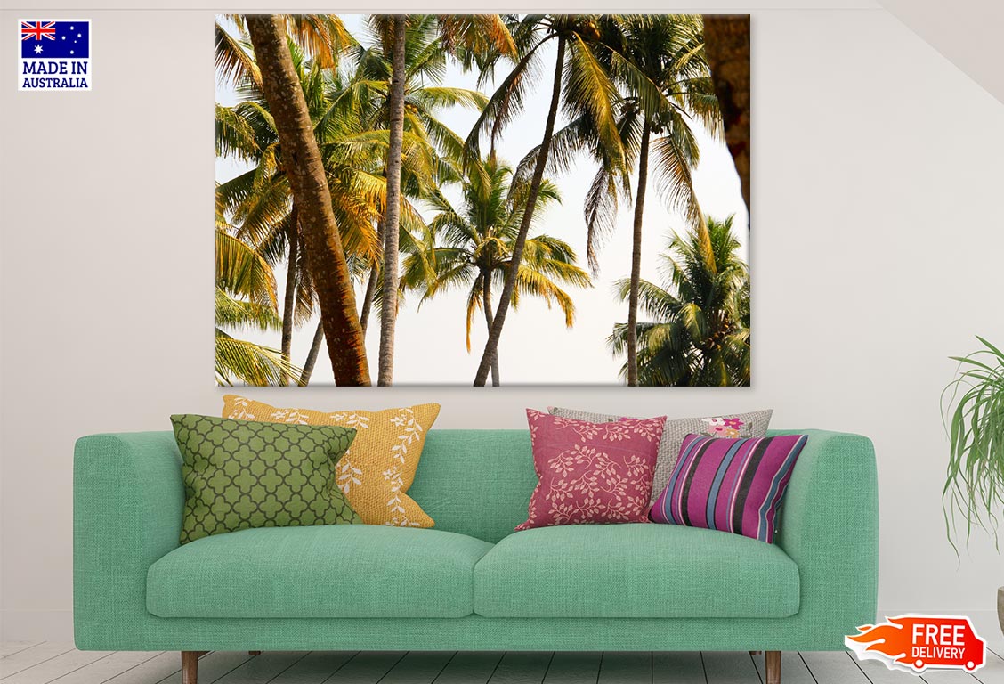 Palm Trees Closeup Photograph Print 100% Australian Made