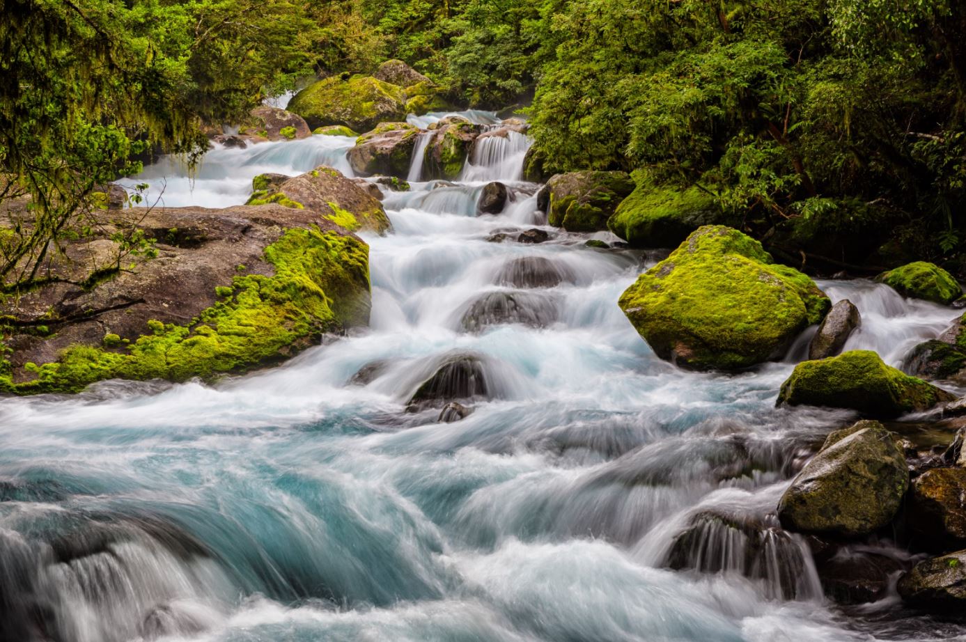 Wallpaper Murals Peel and Stick Removable Stunning Water Stream in Deep Forest High Quality