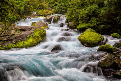 Wallpaper Murals Peel and Stick Removable Stunning Water Stream in Deep Forest High Quality