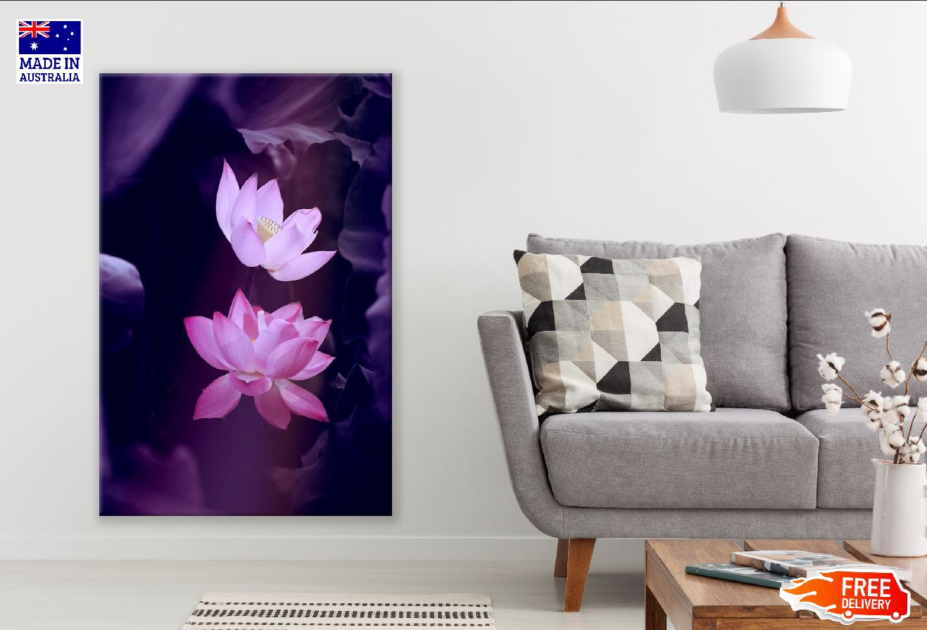 Pink Lotus Flowers Photograph Print 100% Australian Made