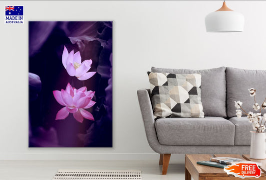 Pink Lotus Flowers Photograph Print 100% Australian Made