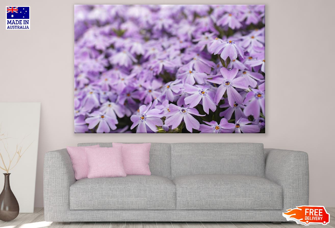 Blossom Purple Flowers Closeup Photograph Print 100% Australian Made