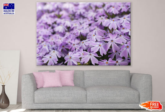 Blossom Purple Flowers Closeup Photograph Print 100% Australian Made