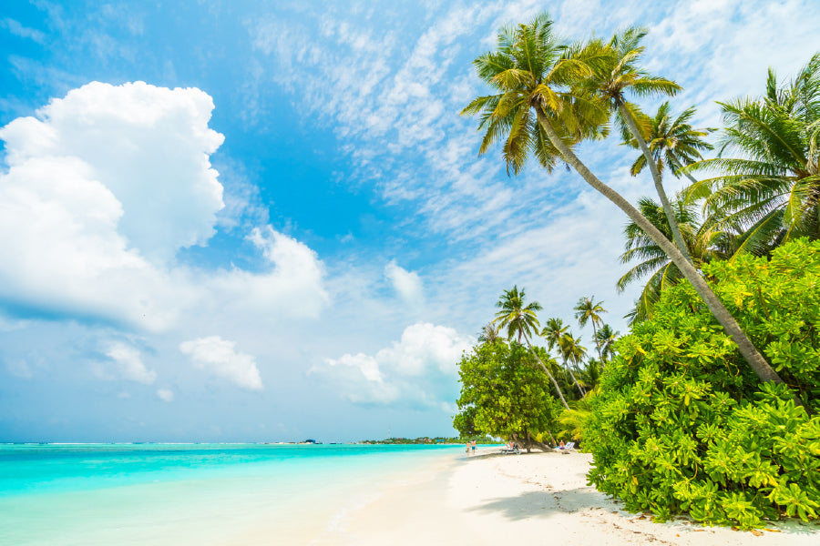 Palm Trees with Maldives Island Photograph Print 100% Australian Made