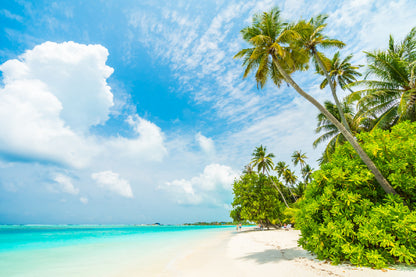 Palm Trees with Maldives Island Photograph Print 100% Australian Made