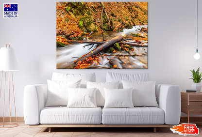 Waterfall & Autumn Leaves Photograph Print 100% Australian Made
