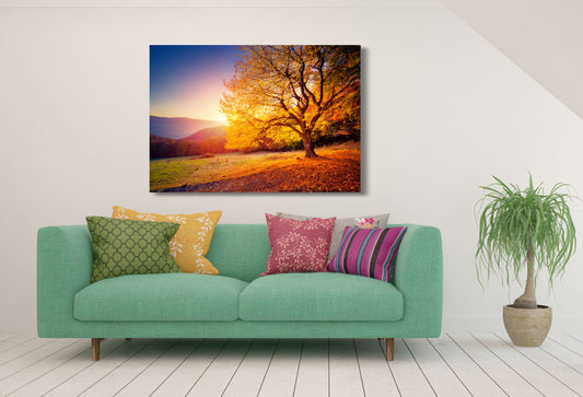 Trees Mountain Sunset Forest Art Nature Print 100% Australian Made