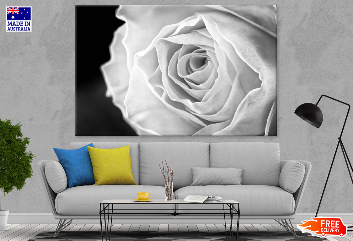 B&W Rose Flower Closeup Photograph Print 100% Australian Made