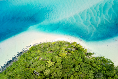 Nature Forest & Sea Aerial View Photograph Print 100% Australian Made