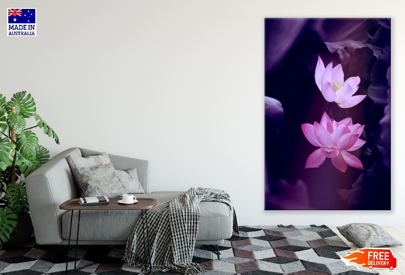 Pink Lotus Flowers Photograph Print 100% Australian Made
