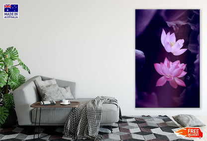 Pink Lotus Flowers Photograph Print 100% Australian Made
