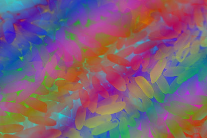 Rainbow Color Abstract Design Print 100% Australian Made