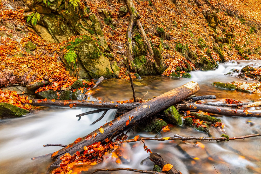 Waterfall & Autumn Leaves Photograph Print 100% Australian Made