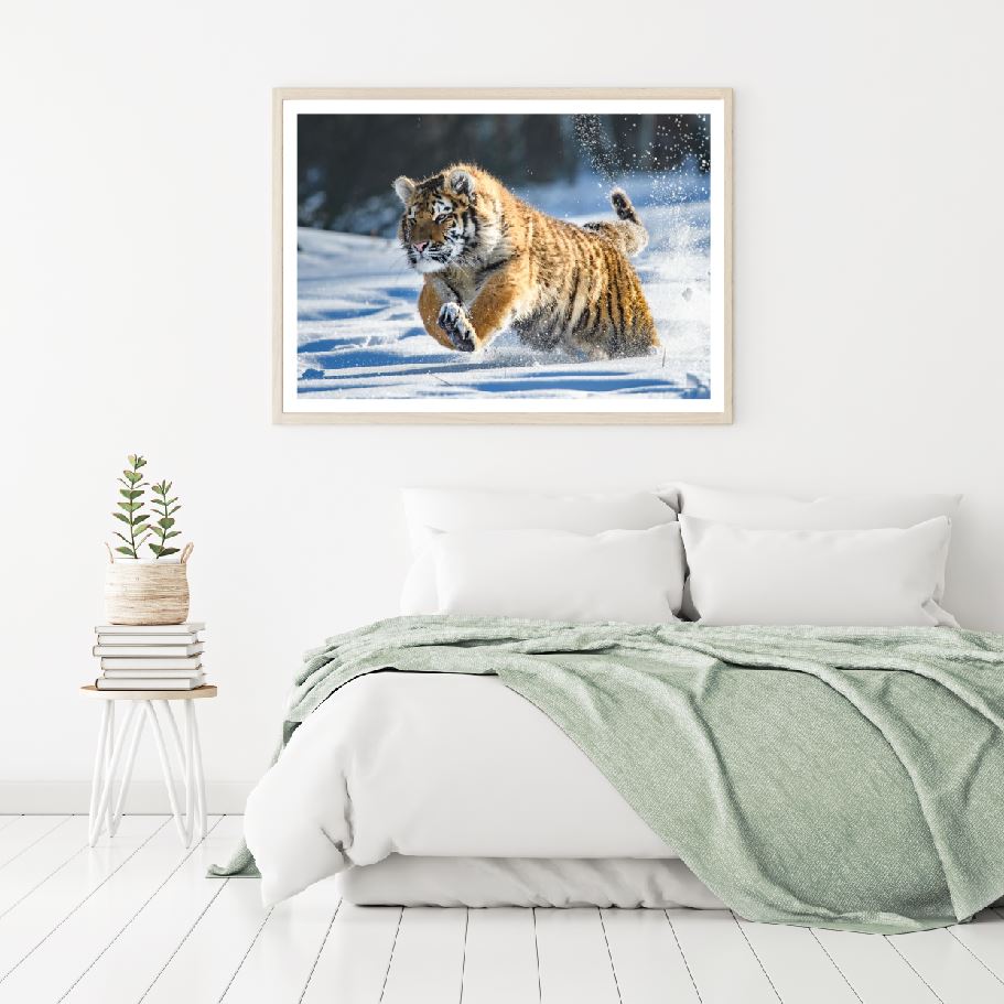 Tiger Running on Snow Photograph Home Decor Premium Quality Poster Print Choose Your Sizes