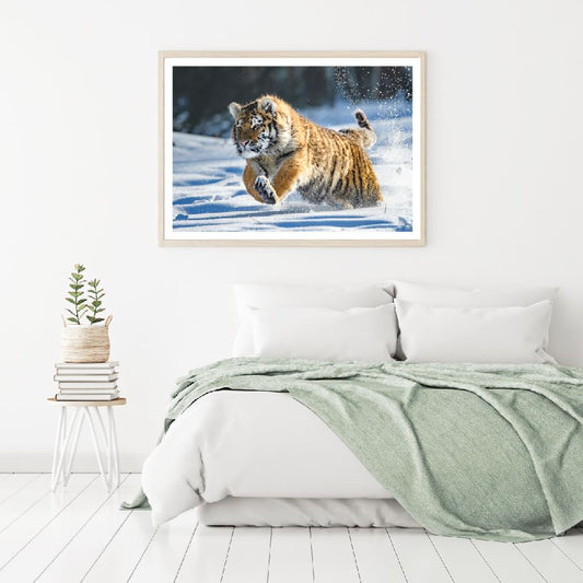 Tiger Running on Snow Photograph Home Decor Premium Quality Poster Print Choose Your Sizes