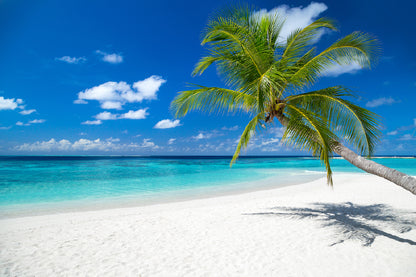 Bella Home Paradise Beach with White Sand Print Canvas Ready to hang