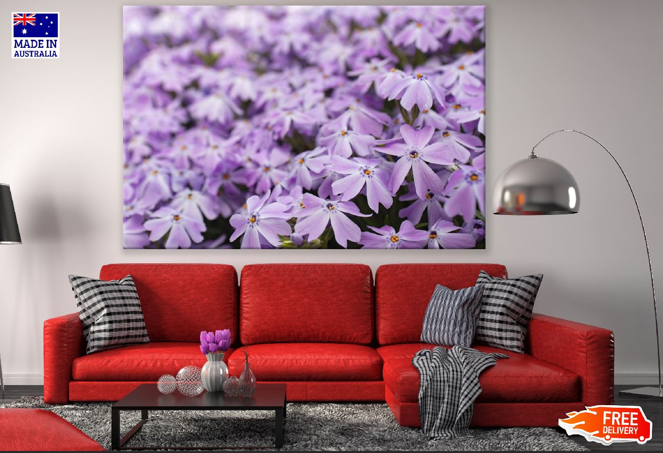 Blossom Purple Flowers Closeup Photograph Print 100% Australian Made