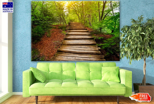 Wood Path in Deep Forest Photograph Print 100% Australian Made