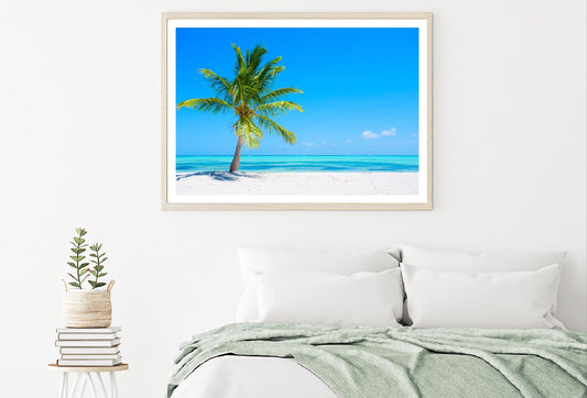 Palm Tree on Tropical Sandy Sea View Photograph Home Decor Premium Quality Poster Print Choose Your Sizes