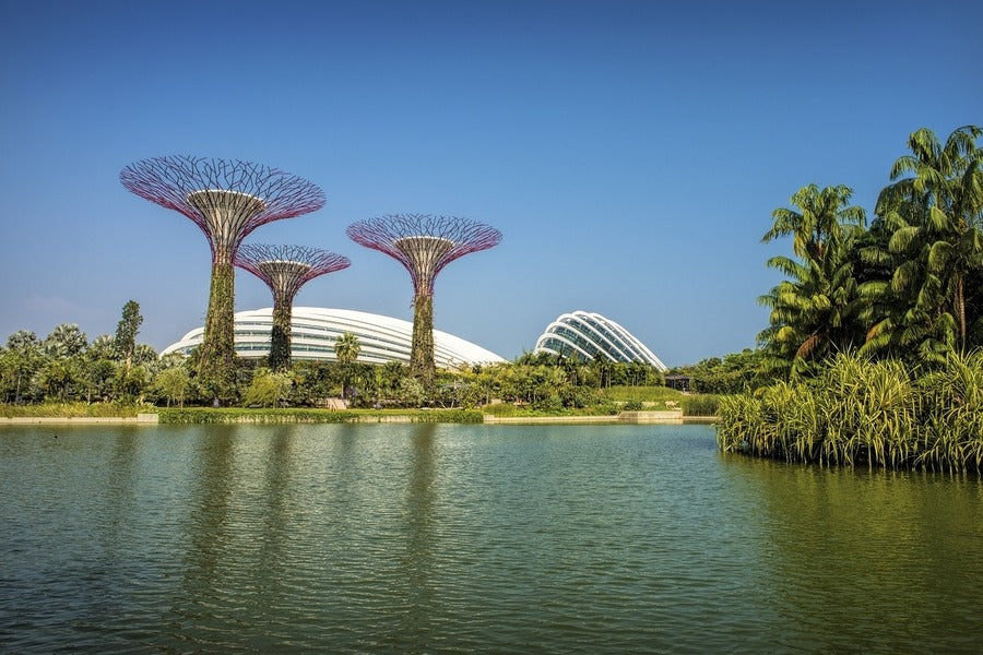 Gardens by the Bay Lake View Photograph Singapore Print 100% Australian Made