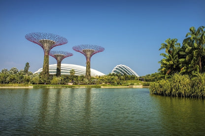 Gardens by the Bay Lake View Photograph Singapore Print 100% Australian Made