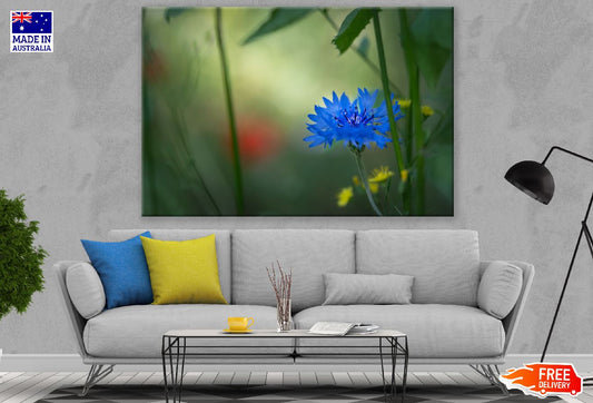 Blue Cornflower Closeup Photograph Print 100% Australian Made