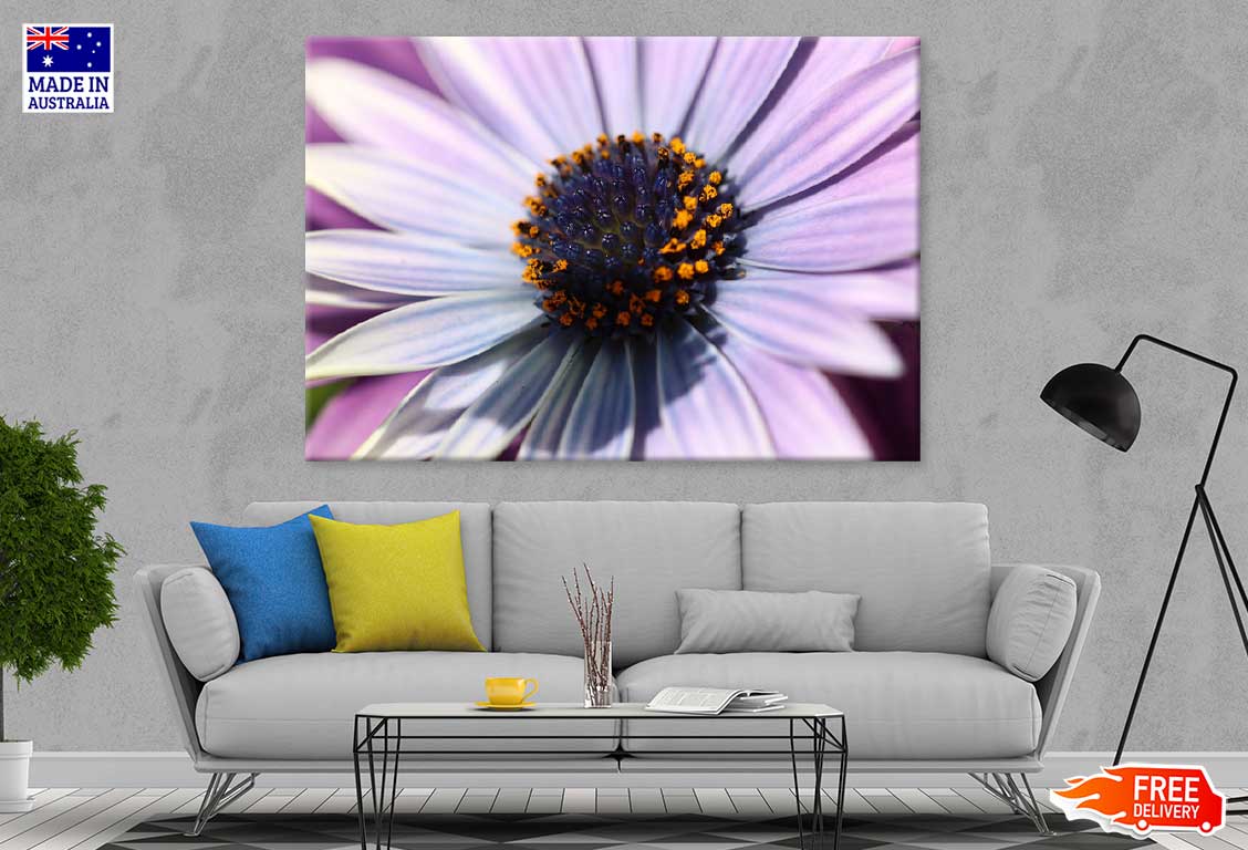 Purple Aster Flower Closeup View Photograph Print 100% Australian Made