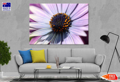 Purple Aster Flower Closeup View Photograph Print 100% Australian Made