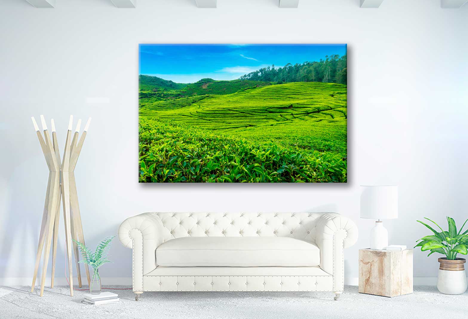 Bella Home Scenery of Tea Plantation in Indonesia Print Canvas Ready to hang